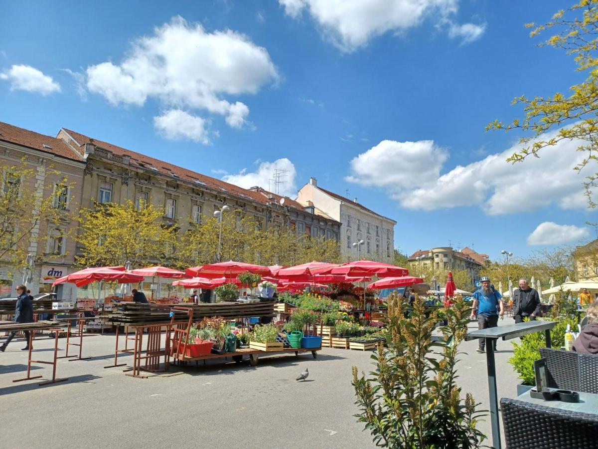 Apartment Calliope Zagreb Eksteriør billede
